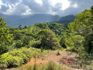 Nature’s Sanctuary_ A Pristine 181-Acre Paradise-13