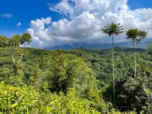 Nature’s Sanctuary_ A Pristine 181-Acre Paradise-14