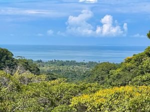 Nature’s Sanctuary_ A Pristine 181-Acre Paradise-15