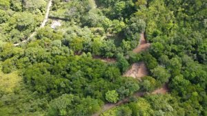 Nature’s Sanctuary_ A Pristine 181-Acre Paradise-16