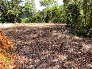 Nature’s Sanctuary_ A Pristine 181-Acre Paradise-17