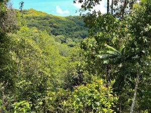 Nature’s Sanctuary_ A Pristine 181-Acre Paradise-18