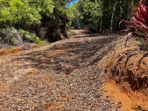 Nature’s Sanctuary_ A Pristine 181-Acre Paradise-19