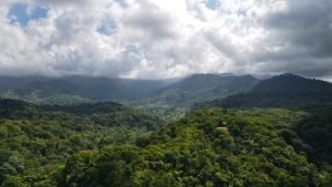 Nature’s Sanctuary_ A Pristine 181-Acre Paradise-21