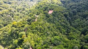 Nature’s Sanctuary_ A Pristine 181-Acre Paradise-22