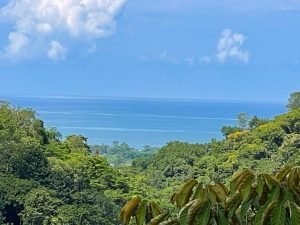 Nature’s Sanctuary_ A Pristine 181-Acre Paradise-25