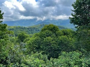 Nature’s Sanctuary_ A Pristine 181-Acre Paradise-26