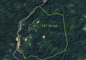 Nature’s Sanctuary_ A Pristine 181-Acre Paradise-3