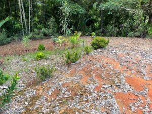 Nature’s Sanctuary_ A Pristine 181-Acre Paradise-30