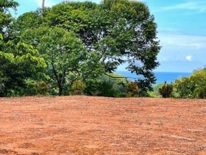 Nature’s Sanctuary_ A Pristine 181-Acre Paradise-33