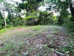 Nature’s Sanctuary_ A Pristine 181-Acre Paradise-35