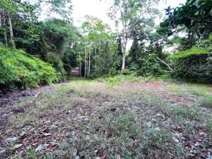 Nature’s Sanctuary_ A Pristine 181-Acre Paradise-36
