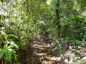 Nature’s Sanctuary_ A Pristine 181-Acre Paradise-37