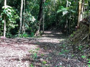 Nature’s Sanctuary_ A Pristine 181-Acre Paradise-38