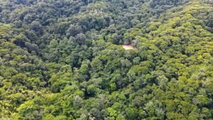 Nature’s Sanctuary_ A Pristine 181-Acre Paradise-39