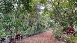 Nature’s Sanctuary_ A Pristine 181-Acre Paradise-4