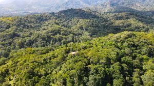 Nature’s Sanctuary_ A Pristine 181-Acre Paradise-42