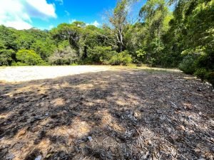 Nature’s Sanctuary_ A Pristine 181-Acre Paradise-43