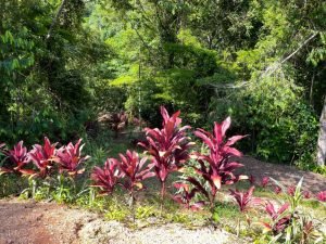 Nature’s Sanctuary_ A Pristine 181-Acre Paradise-45