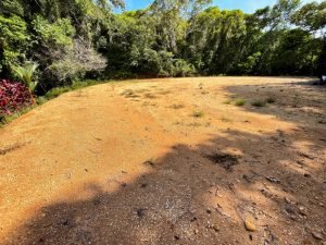 Nature’s Sanctuary_ A Pristine 181-Acre Paradise-46