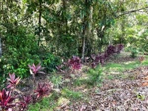 Nature’s Sanctuary_ A Pristine 181-Acre Paradise-47