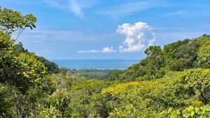 Nature’s Sanctuary_ A Pristine 181-Acre Paradise-5