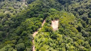 Nature’s Sanctuary_ A Pristine 181-Acre Paradise-50