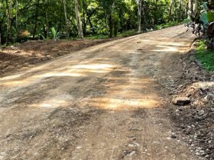 Nature’s Sanctuary_ A Pristine 181-Acre Paradise-51