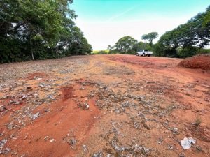 Nature’s Sanctuary_ A Pristine 181-Acre Paradise-52