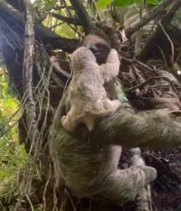 Nature’s Sanctuary_ A Pristine 181-Acre Paradise-54