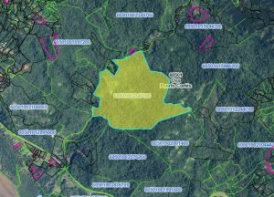 Nature’s Sanctuary_ A Pristine 181-Acre Paradise-55