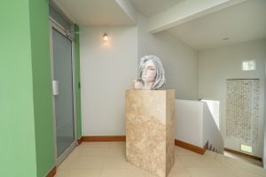 Ocean View Modern House-17