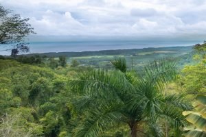 Ocean View Modern House-30