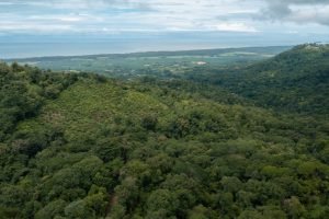 Ocean View Modern House-31