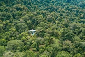 Ocean View Modern House-35