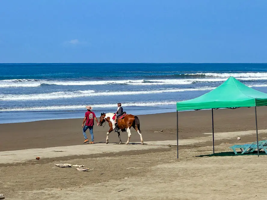 Playa Matapalo