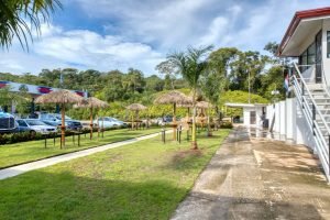 Photo Apr 21 2023, 7 36 35 AM (5)