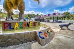 Photo Apr 21 2023, 7 36 35 AM (6)