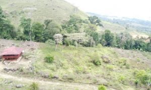 Screenshot 2024-03-23 17.58.55