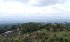 Screenshot 2024-03-23 17.59.16