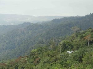 View_from_above_Finca_Familia