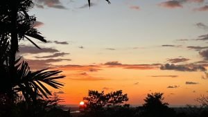 WhatsApp Image 2023-04-23 at 15.59.57