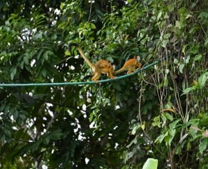 WhatsApp Image 2023-04-23 at 16.00.48