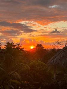 WhatsApp Image 2023-04-23 at 16.01.32