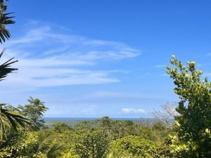 WhatsApp Image 2023-04-24 at 08.23.40