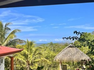 WhatsApp Image 2023-04-24 at 08.23.41