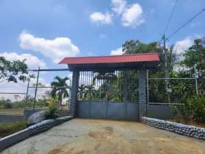 WhatsApp Image 2024-03-13 at 10.30.15 AM