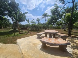 WhatsApp Image 2024-03-13 at 10.30.24 AM (1)