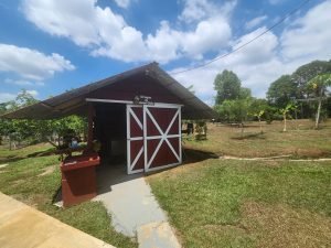 WhatsApp Image 2024-03-13 at 10.30.24 AM