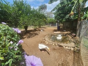 WhatsApp Image 2024-03-13 at 10.30.25 AM